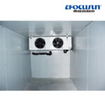 20 Chambre froide conteneurisée par pieds