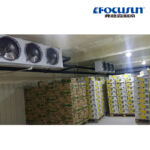 Chambre froide pour légumes et fruits