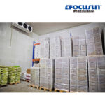 Chambre froide pour légumes et fruits